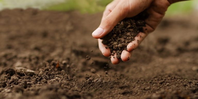 Expolondrina: O Evento Do Agro Que Movimenta O Setor Há Mais De 6 Décadas