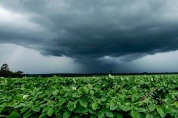 Noaa Prevê El Niño Em Atividade E Brasil Deve Ter Chuvas Intensas Nos Próximos Dias