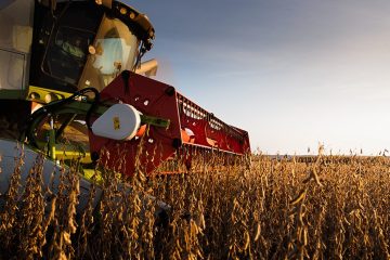 Noticias Agrícolas. Colheita De Soja No Brasil Atinge 80,8% Da Área E Apresenta Bons Rendimentos Na Safra 2022-23