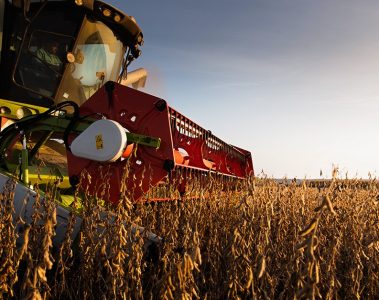 Noticias Agrícolas. Colheita De Soja No Brasil Atinge 80,8% Da Área E Apresenta Bons Rendimentos Na Safra 2022-23