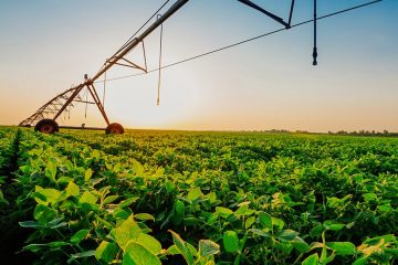 Pivô De Irrigação Na Soja: Quais São As Vantagens E Desvantagens?