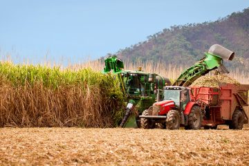 Quais As Vantagens De Usar Uma Colheitadeira No Cultivo Da Cana?