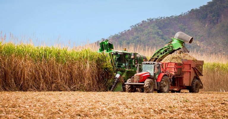 Quais As Vantagens De Usar Uma Colheitadeira No Cultivo Da Cana?