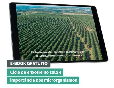 E-Book - Ciclo Do Enxofre No Solo E Importância Dos Microrganismos - 06 1