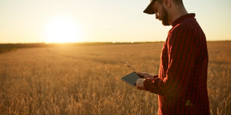 Agrobrasília: Evento Agrícola Traz Inovações Tecnológicas E Oportunidades Para Agricultores