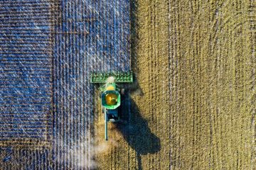 Preço Da Soja Em Queda Contínua E O Impacto Disso Em Outras Commodities Agrícolas É Destaque Nas Notícias Agrícolas Da Semana