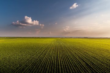 Consultores Agrícolas De Sucesso Atestam Os Bons Resultados Que K Forte® E O Baks® Trazem Para O Manejo