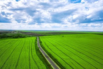 O Que São Comoditties Agrícolas E Qual A Sua Influência No Agronegócio?