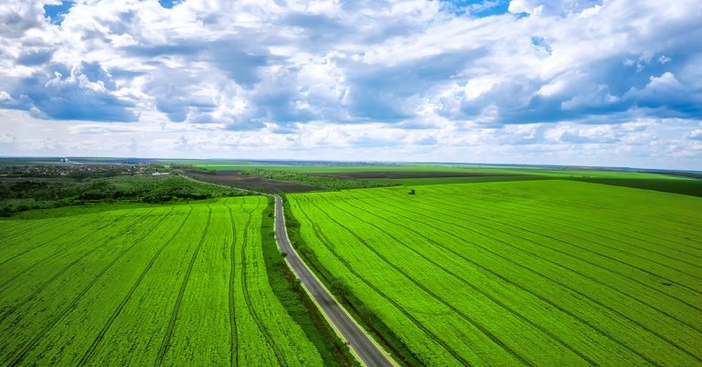 O Que São Comoditties Agrícolas E Qual A Sua Influência No Agronegócio?