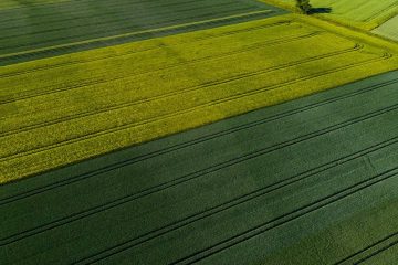 Aumento Do Poder De Compra De Fertilizantes Pode Agravar Gargalo Logístico Nos Próximos Meses