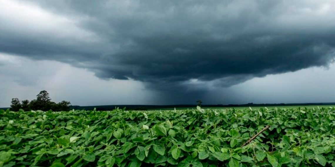 Notícias Agrícolas: Ciclone Extratropical Se Aproxima E Deve Causar Mudanças No Clima A Partir Do Final De Semana