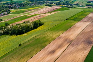 Plano Nacional De Fertilizantes (Pfn) É Destaque Nas Notícias Agrícolas