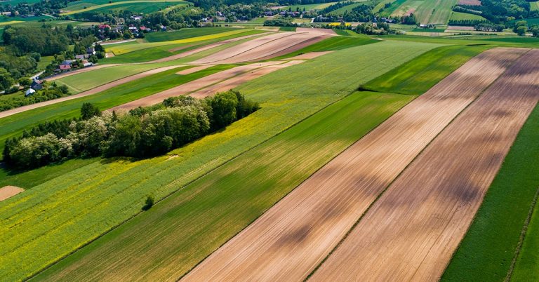 Plano Nacional De Fertilizantes (Pfn) É Destaque Nas Notícias Agrícolas